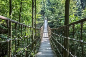 Hängebrücke am Rothaarsteig bei Bad Berleburg