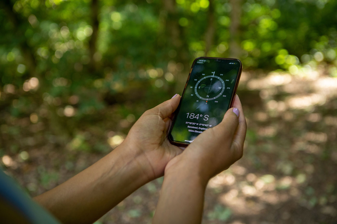 Handy im Wald zeigt Himmelsrichtung an