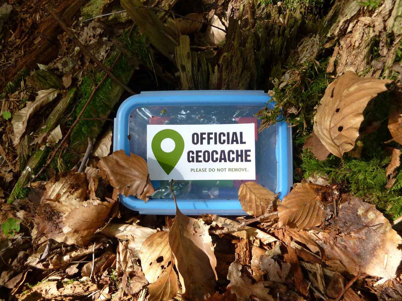 Geoaching Box im Wald auf dem Boden zwischen Blättern