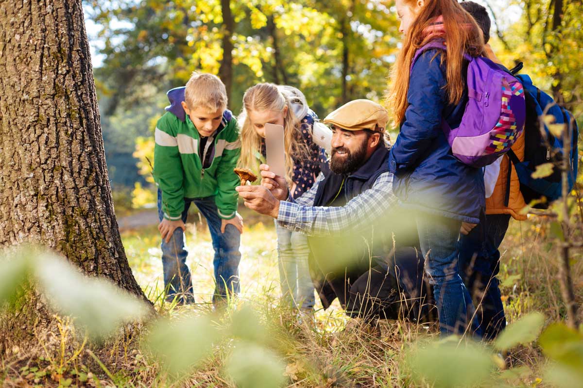 Mann mit Kindern im Wald und fotografieren einen Pilz