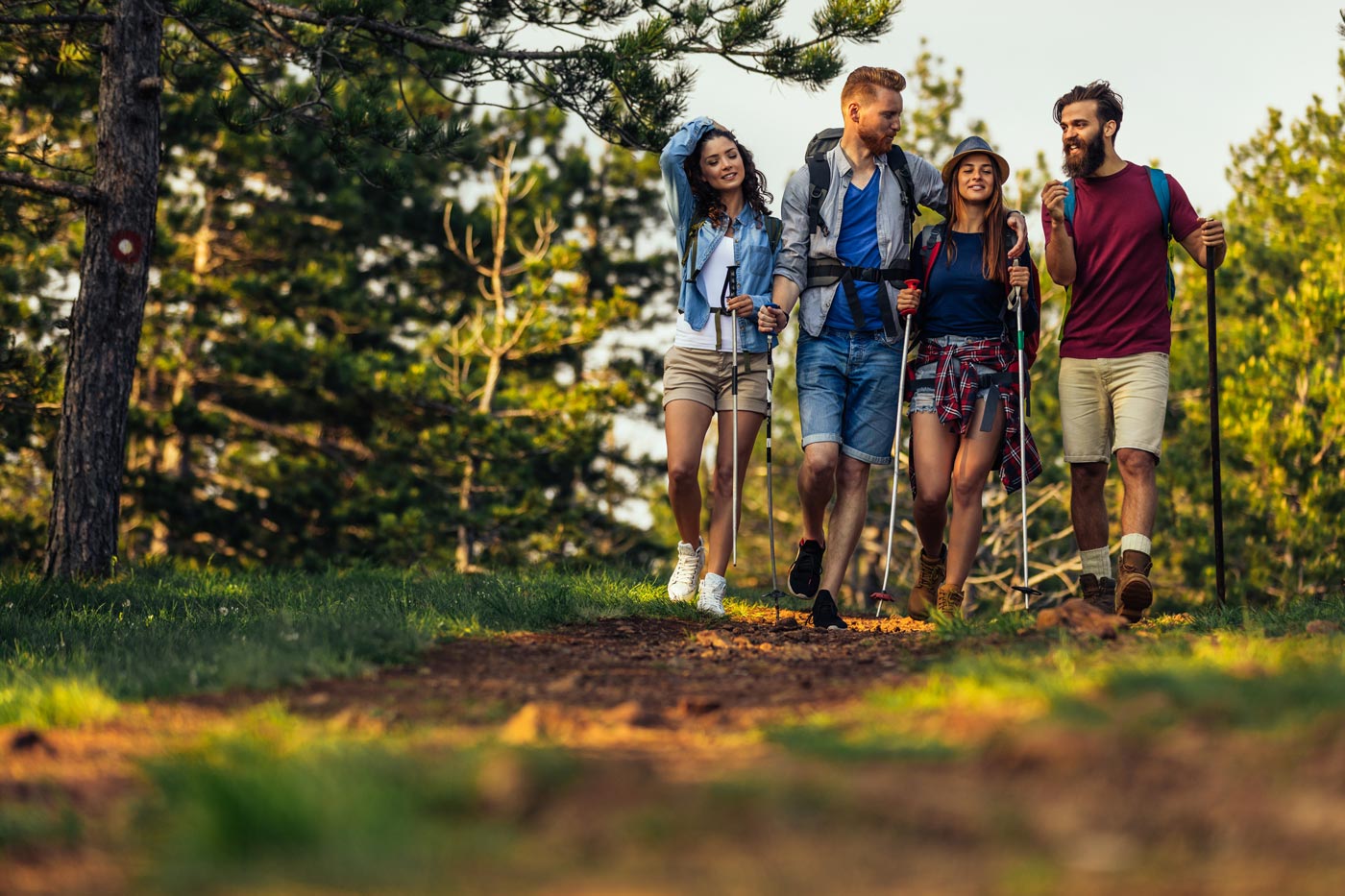 Vier junge Personen machen Nordic Walking im wald