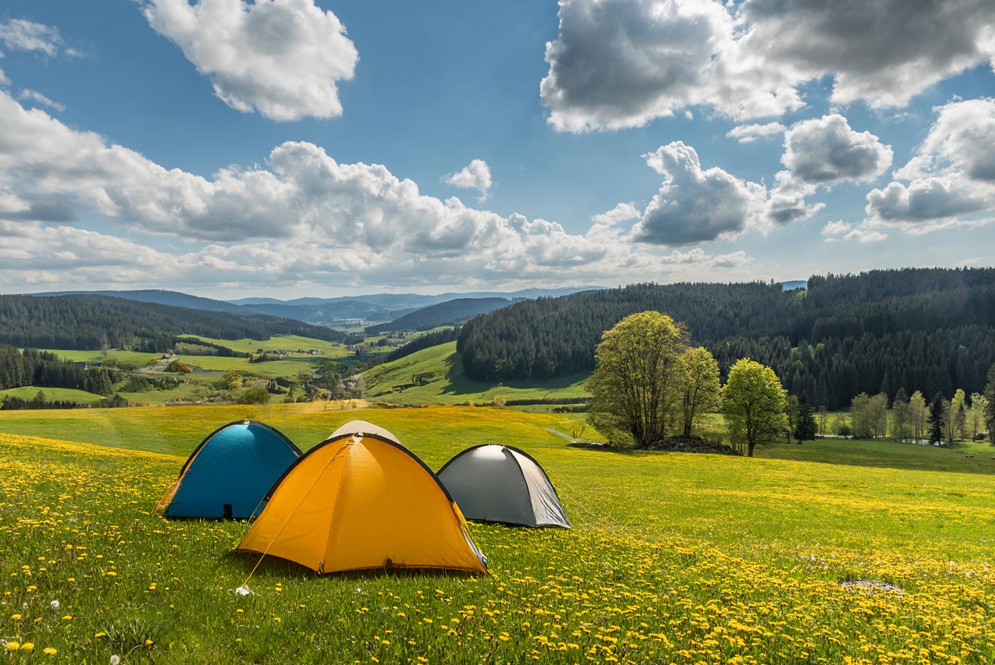 Drei Zelte stehen auf einer Wiese im Schwarzwald