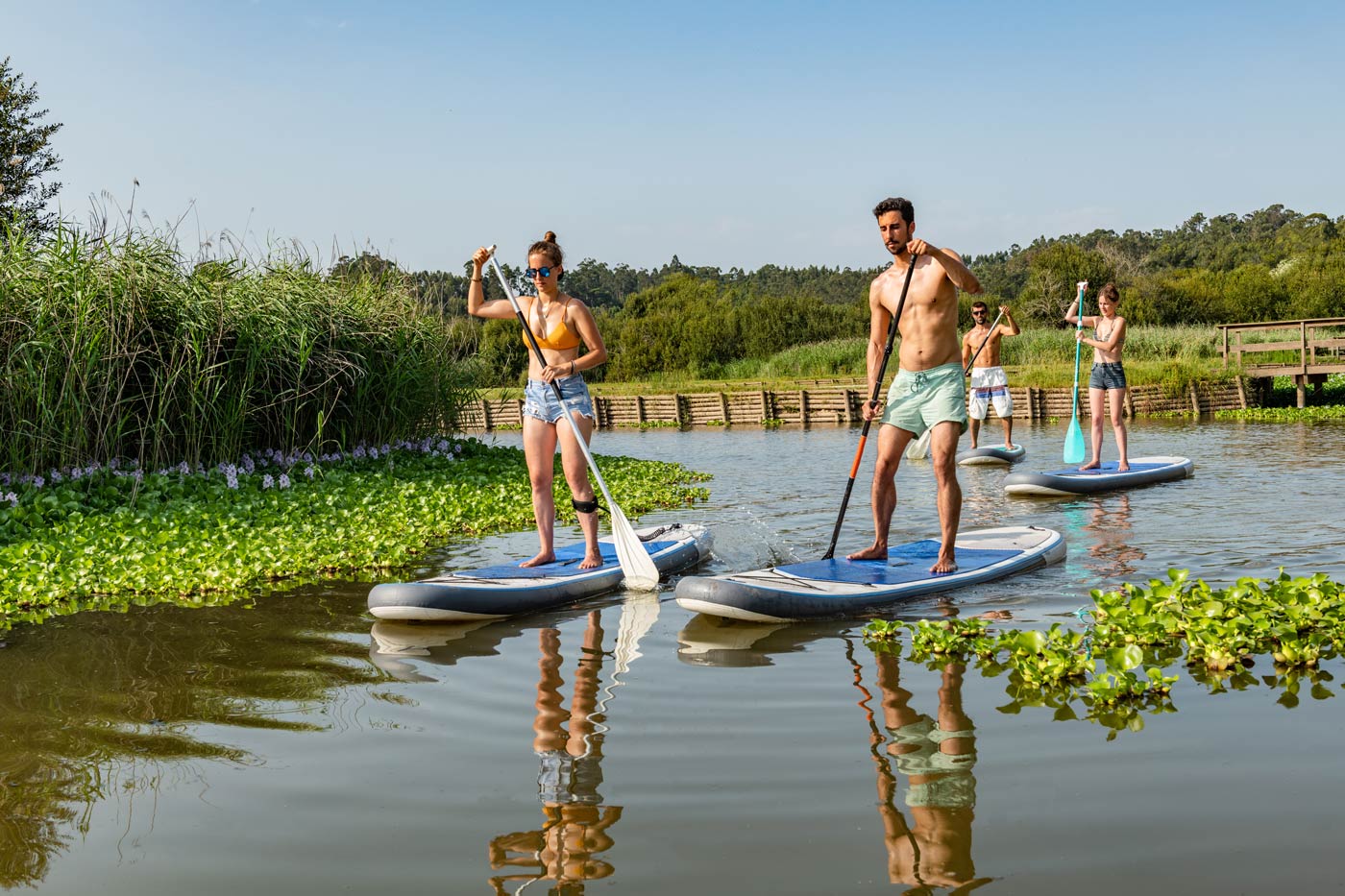 Vier Personen machen einen Stand Up Paddle Board Kurs