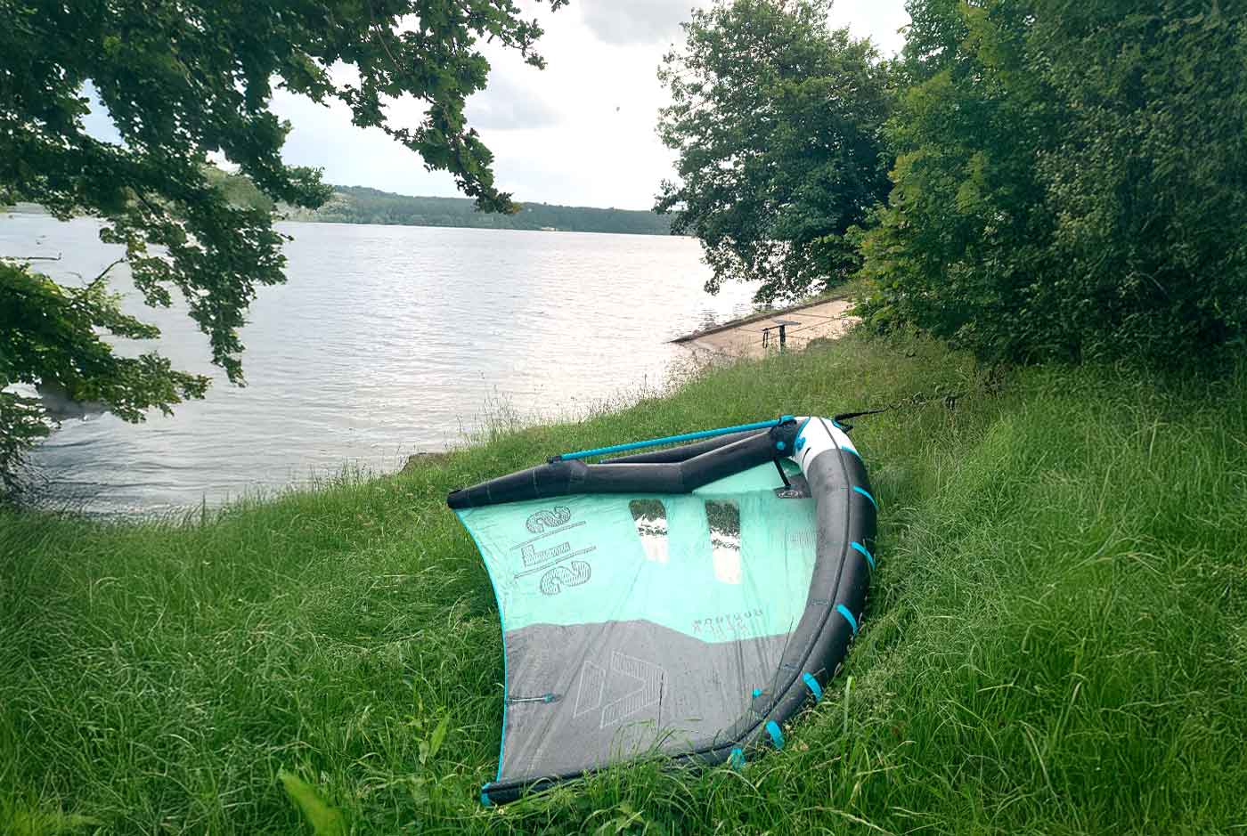 Wing mit einem Boom auf einer Wiese am See