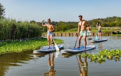 Vier Personen machen einen Stand Up Paddle Board Kurs